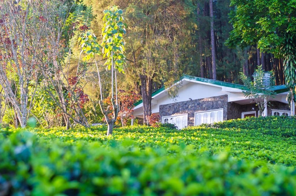 Greendale Holiday Bungalow Villa Watawala Esterno foto